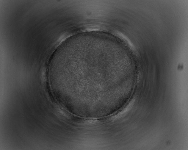 X0000102821353200809081122