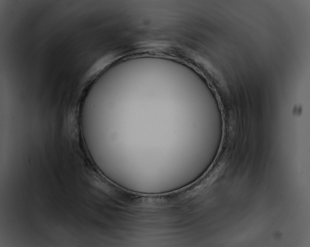 X0000102821354200809081122