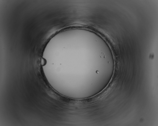 X0000102821355200809081122