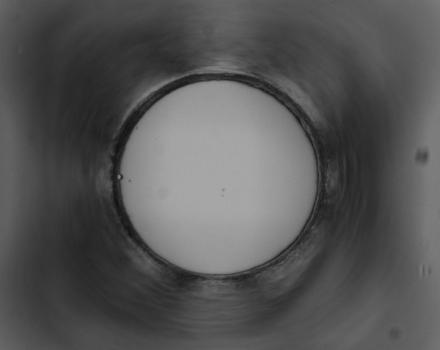 X0000102821356200809081122