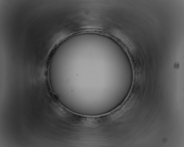 X0000102821357200809081122