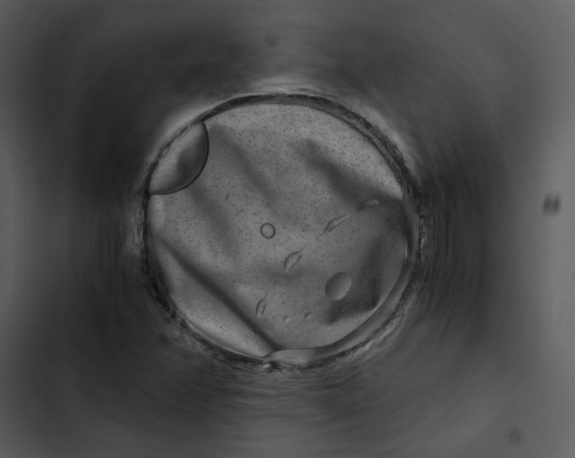 X0000102821358200809081122