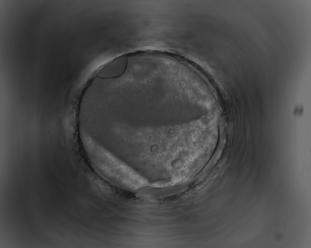 X0000102821359200809081122