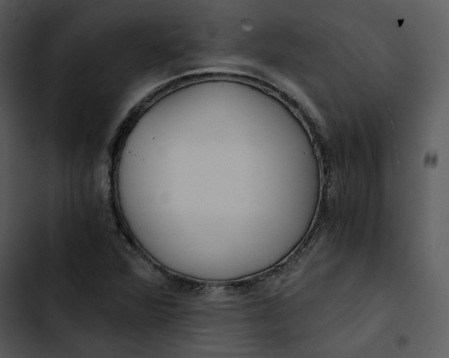 X0000102821360200809081122