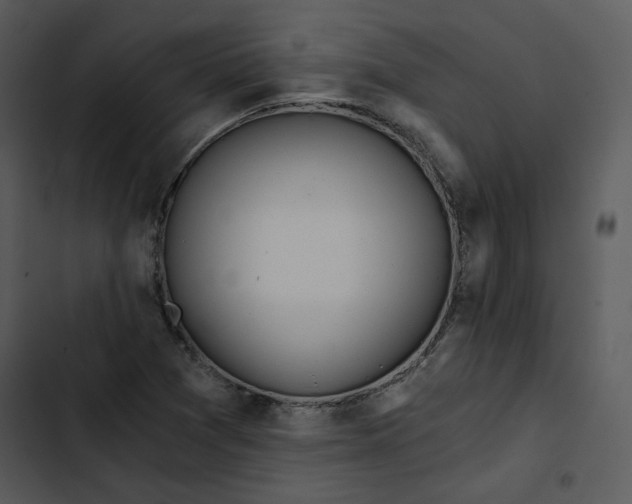 X0000102821361200809081122