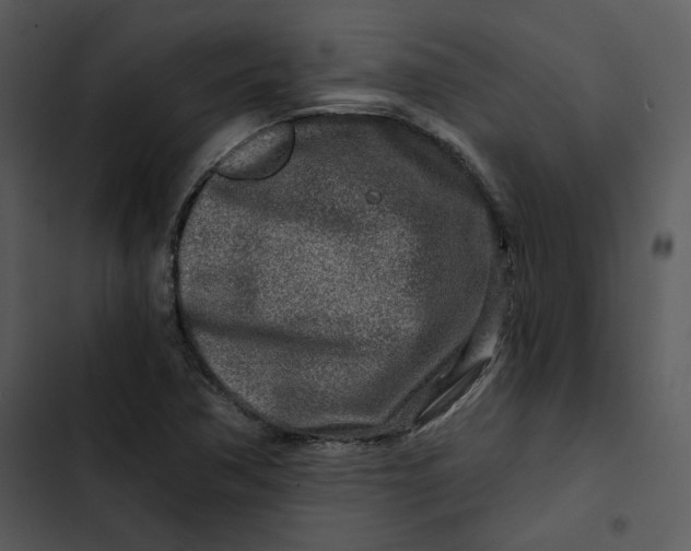 X0000102821362200809081121