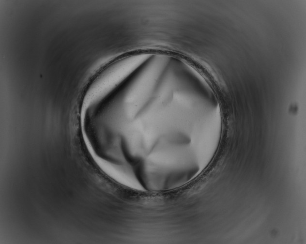 X0000102821363200809081121