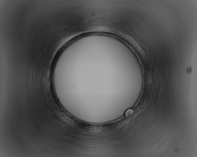 X0000102821364200809081121