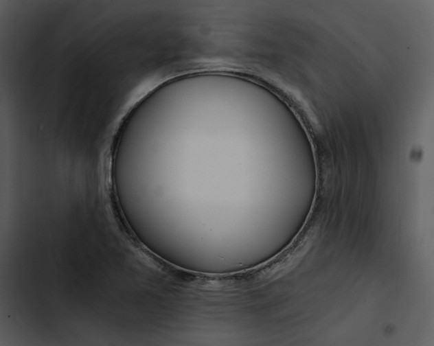 X0000102821365200809081121