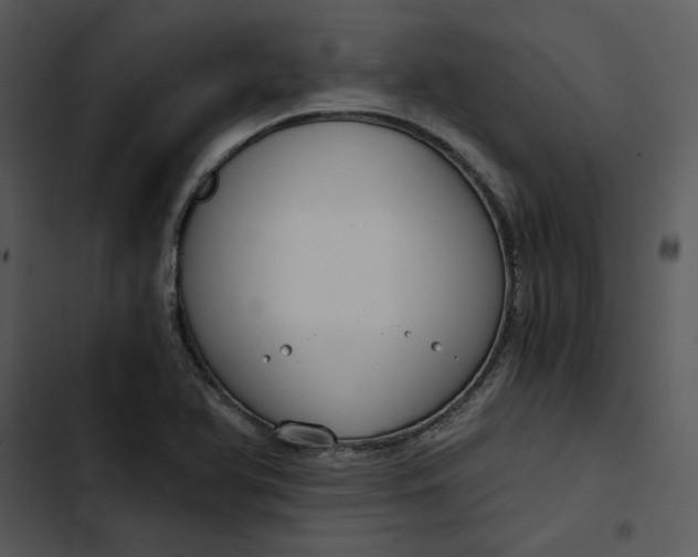 X0000102821366200809081121