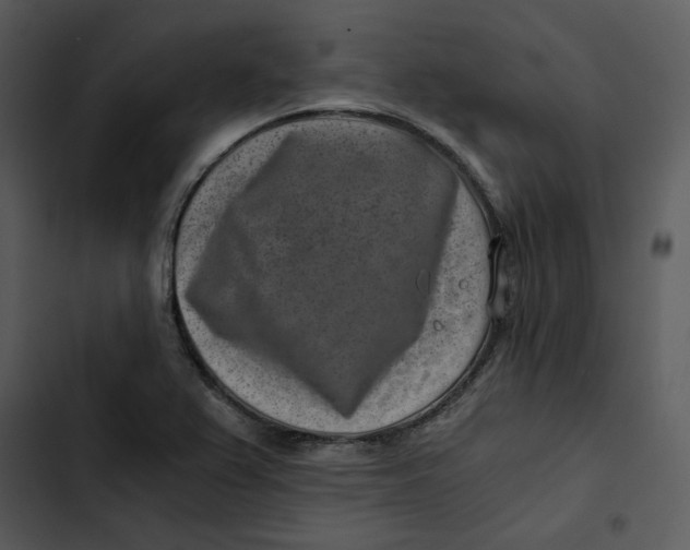 X0000102821367200809081121