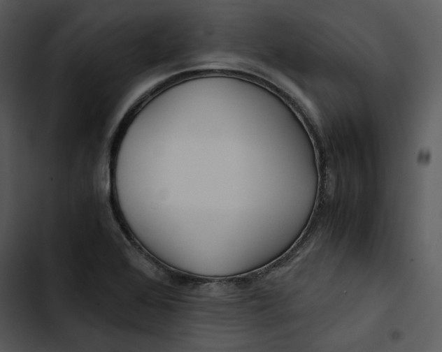 X0000102821368200809081121