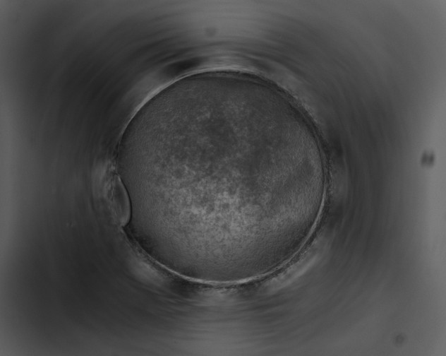 X0000102821369200809081121