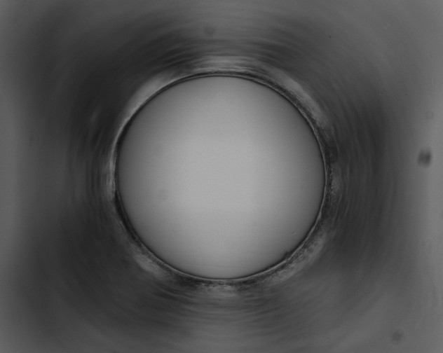 X0000102821370200809081121