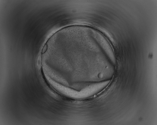 X0000102821371200809081121