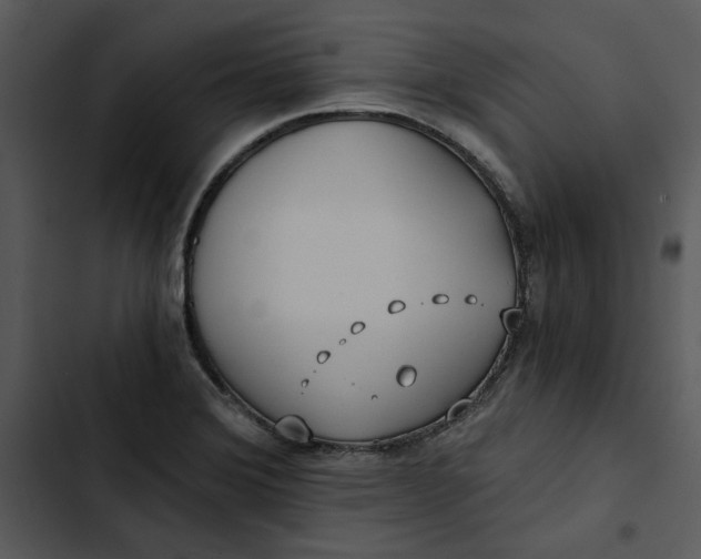 X0000102821372200809081121