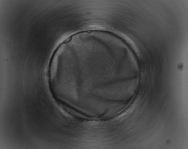 X0000102821373200809081121