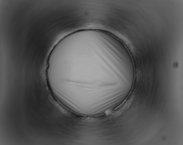 X0000102821374200809081121