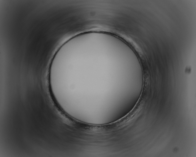 X0000102821375200809081121