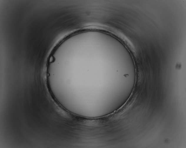 X0000102821376200809081121