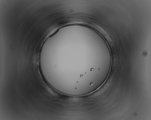 X0000102821377200809081121