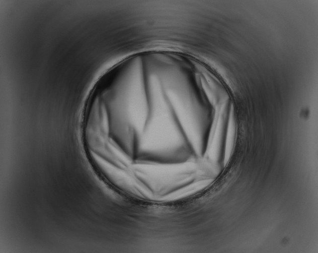 X0000102821379200809081121