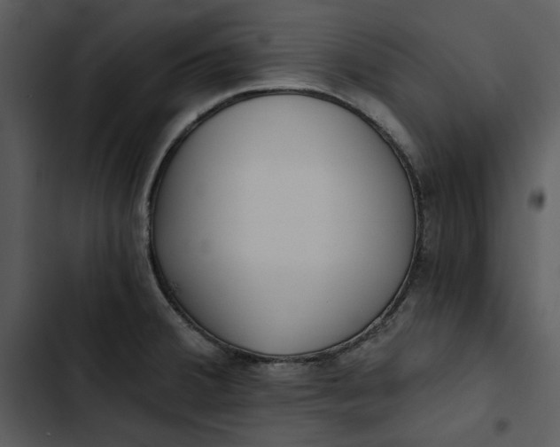 X0000102821380200809081121