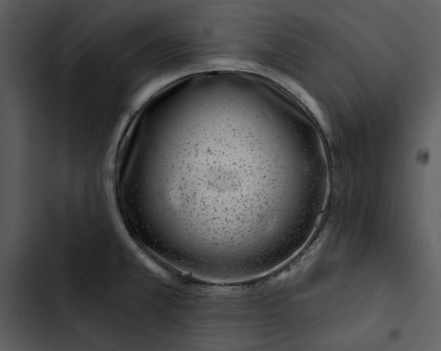 X0000102821381200809081121