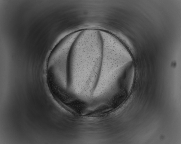 X0000102821382200809081121