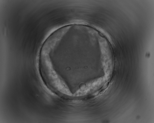 X0000102821383200809081121