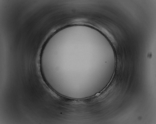 X0000102821384200809081121