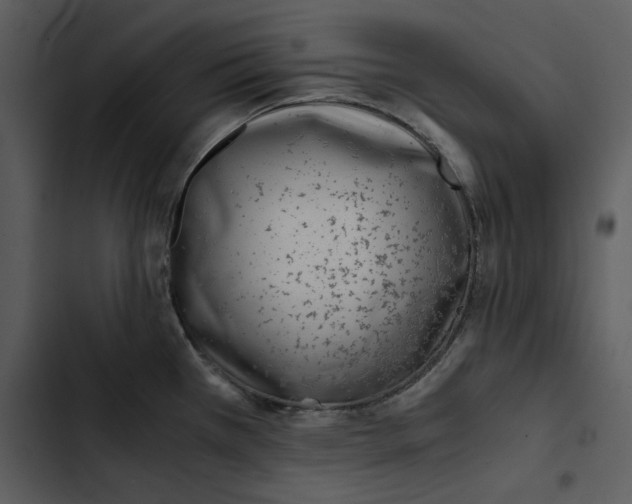 X0000102821385200809081121