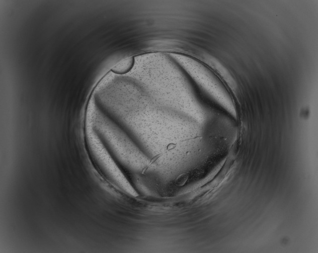 X0000102821386200809081121