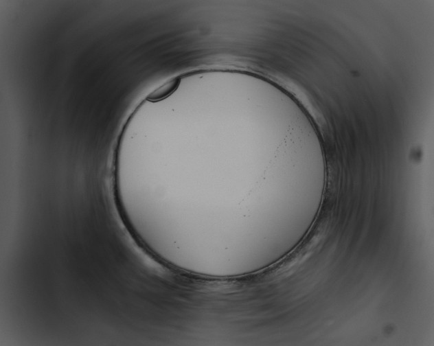 X0000102821387200809081121