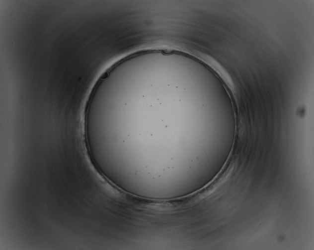 X0000102821388200809081121