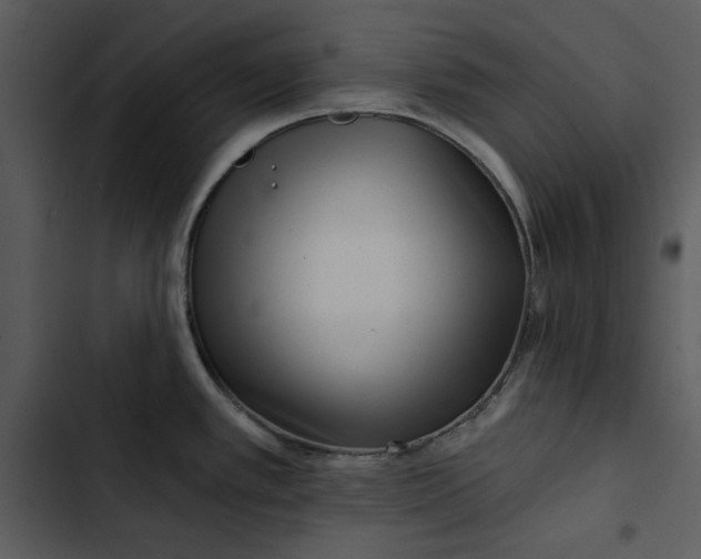 X0000102821389200809081121