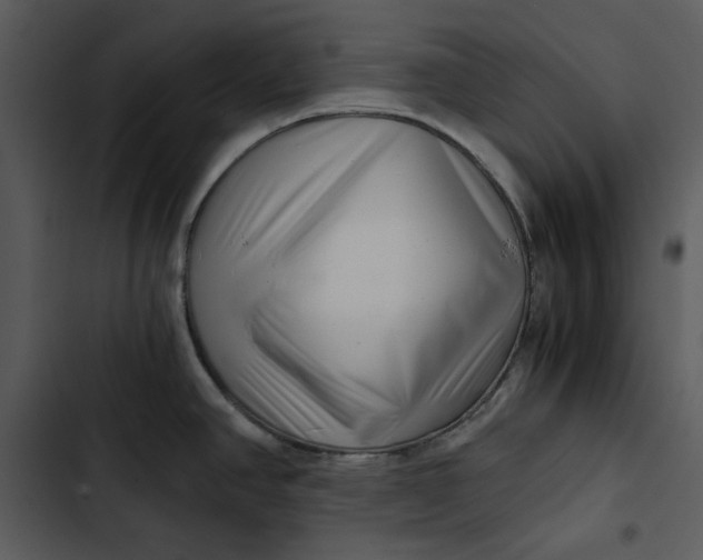 X0000102821390200809081121