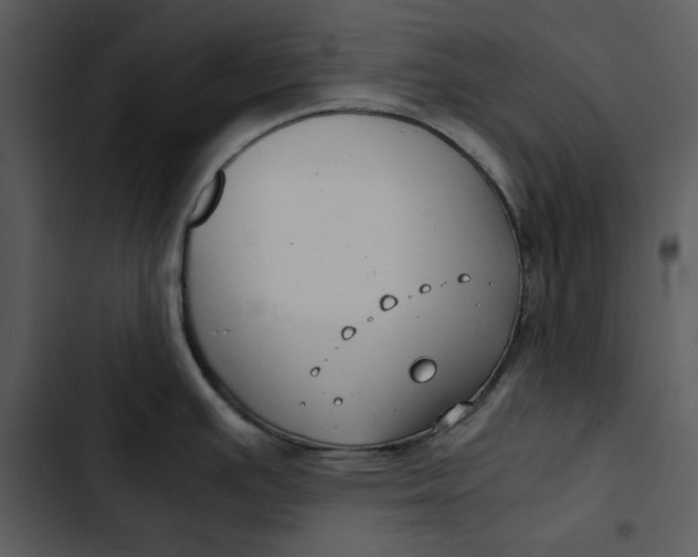 X0000102821391200809081121