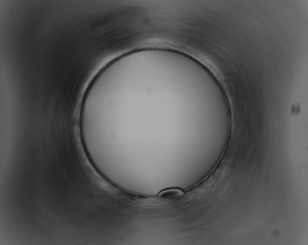 X0000102821392200809081121