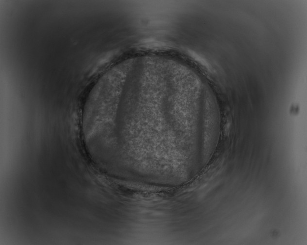 X0000102821397200809081120