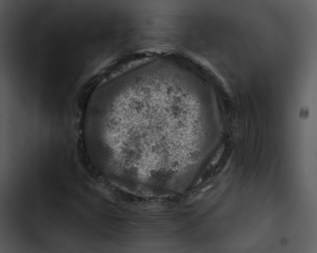 X0000102821399200809081120