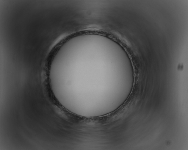 X0000102821400200809081120
