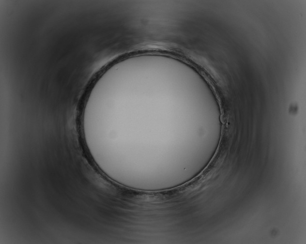 X0000102821404200809081120