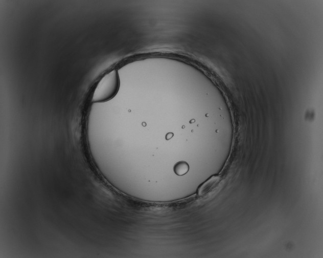 X0000102821406200809081120