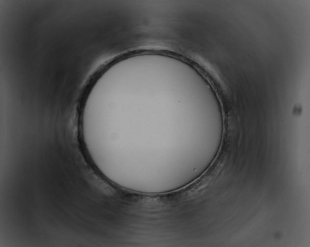 X0000102821408200809081120