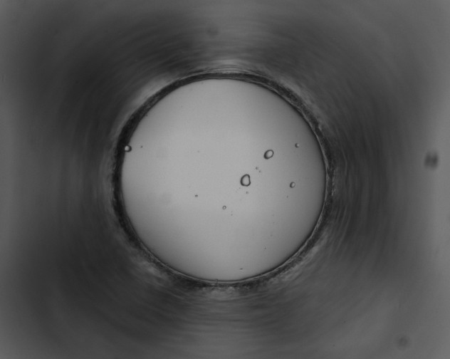 X0000102821410200809081120