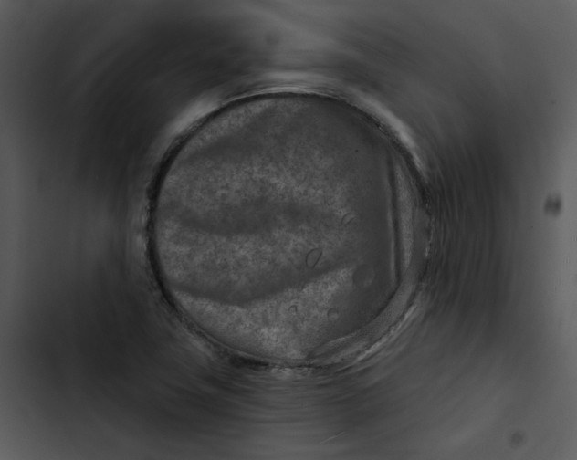 X0000102821411200809081120
