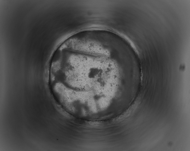 X0000102821413200809081121