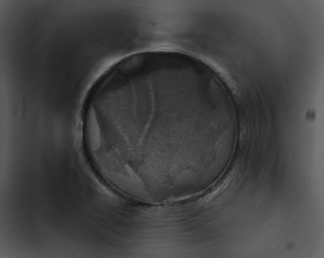 X0000102821414200809081121