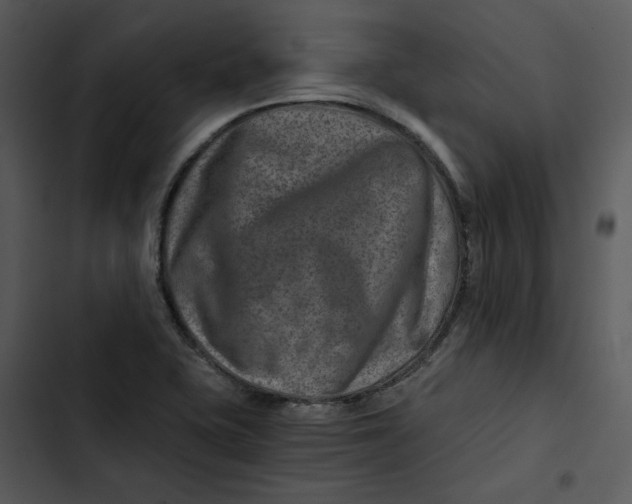 X0000102821415200809081121